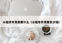 小程序开发需要什么（小程序开发要多少钱）