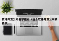 软件开发公司名字推荐（适合软件开发公司的名字）