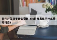 软件开发属于什么费用（软件开发属于什么费用科目）