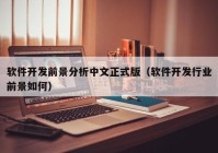 软件开发前景分析中文正式版（软件开发行业前景如何）